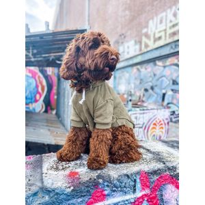 Dogs&Co Honden Sweater Maat XS - Hoodie voor honden Army Green