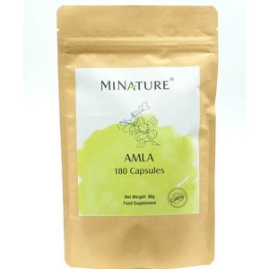 Amla Capsules 180 stuks - 450mg Amla Poeder Per Vegan Capsule - Gooseberry, Emblica Fruit Powder - 100% Plantaardig
