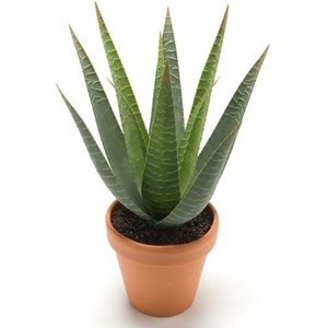 Kunstplant aloe vera groen in pot 23 cm - Kamerplant groene aloe vera