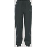 Björn Borg Essential 1 Joggingbroek Sportbroek Dames - Maat L - Urban Chic Groen - Vrouwen Joggingbroek