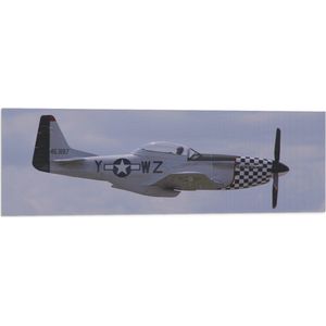 WallClassics - Vlag - Zijaanzicht van Zwart/Wit Minnie Vliegtuig - 90x30 cm Foto op Polyester Vlag