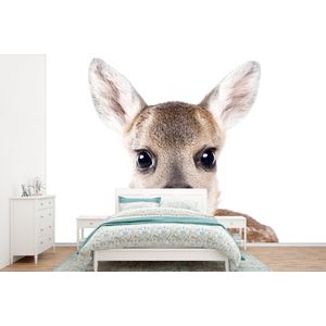 Hert - Dieren - Bruin - Natuur - Behangpapier