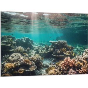 Vlag - Onderwater - Zee - Water - Koraal - Dieren - Kleuren - Zand - 100x75 cm Foto op Polyester Vlag