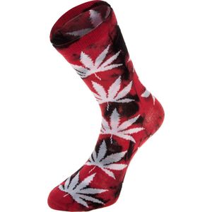 Robin Ruth Sokken Wiet rood zwart 36-41