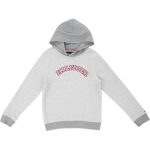 Tommy Hilfiger Kids Monotype Hoodie - Boys - Grijs - 16 jaar