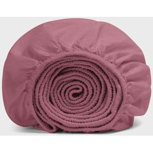 Hoeslakens - Wit - Katoen - 1 Stuk