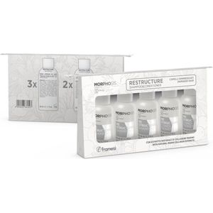 FRAMESI MORPHOSIS RE-STRUCTURE KIT TRAVEL SIZE - TRAVEL SIZE