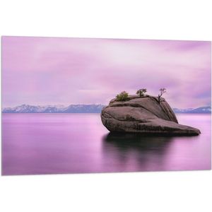 WallClassics - Vlag - Rots in Paars Water - 105x70 cm Foto op Polyester Vlag