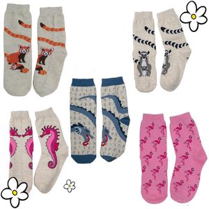 Nature Planet -kindersokken - set van 5 paar sokken - flamingo - vlinder - ringstaartmaki - zeepaardje - rode panda (100% Oeko-tex gecertificeerd) maat 35-38