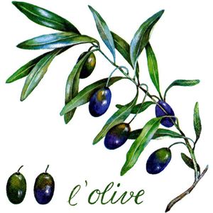 Servetten 33x33cm 20 stuks A.L.C. L'Olive