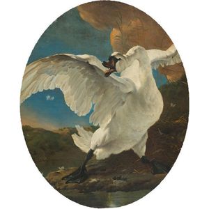 De bedreigde zwaan, Jan Asselijn - Foto op Behangcirkel - ⌀ 80 cm
