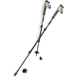 Trekking poles carbon