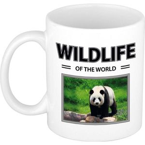 Dieren foto mok Panda - 300 ml - wildlife of the world - cadeau beker / mok Pandas liefhebber