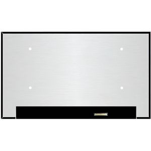 LCD Scherm geschikt voor MSI GE66 Raider 10UH-014BE