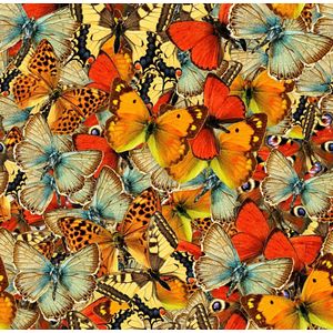 Grafika puzzel vlinders 1000 stukjes kleurrijk legpuzzel.
