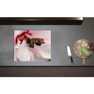 Inductieplaat Beschermer - Bij in het Midden van Witte Bloem op Zoek naar Nectar - 59x50 cm - 2 mm Dik - Inductie Beschermer - Bescherming Inductiekookplaat - Kookplaat Beschermer van Zwart Vinyl