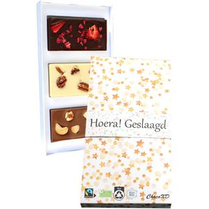 Geslaagd chocoladecadeau - Succes cadeau - Chocolade repen - Chocolade met fruit en noten - Fairtrade chocoladecadeau - brievenbuspakket- Melk, Wit en Puur
