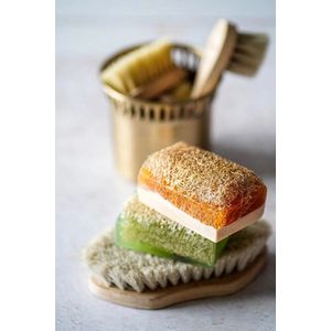 2 STUKS GEITENMELK HONING EXTRACT POMPOENVEZEL ZEEP