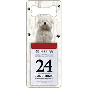 Scheurkalender 2024 Hond: Corton De TulÃ©ar