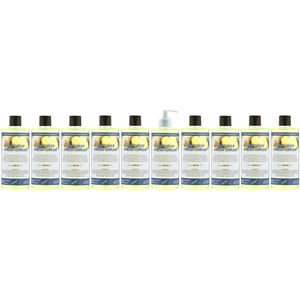 Handzeep Fresh Ginger 500 ml - set van 10 stuks - met gratis pomp - Voordeelverpakking