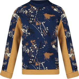 4President - Manuel Skate aop - Sweater - Baby Jongens