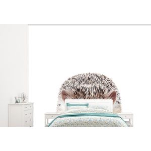Egel - Dieren - Natuur - Wit - Behangpapier