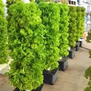 Hydrocultuur systeem - Kweektoren- met pomp - Plantentoren - Verticale moestuin - Duurzaam tuinieren - aeroponics kweekset - 45 slots