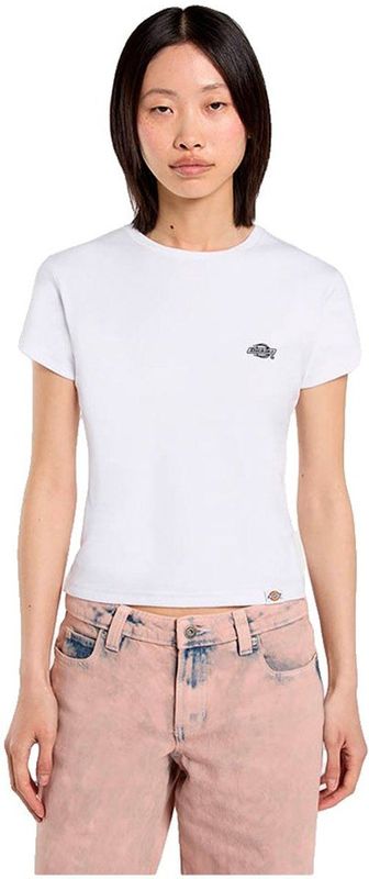 Dickies - Gladeville - T-shirt - Met Korte Mouwen
