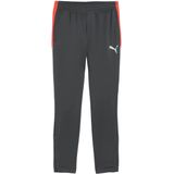 PUMA - individualLIGA - Trainingsbroek - Grijs/Rood/Wit