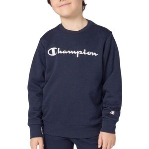 Sweater - Grijs - Sweatstof - Ronde Hals - Logoprint