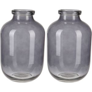 2x stuks grijze glazen vaas/vazen 16 x 28 cm - Vazen van glas