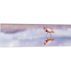 WallClassics - Vlag - Flamingo in het Water - 120x40 cm Foto op Polyester Vlag