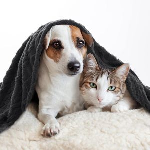 huisdierdeken voor hond of kat, zachte afwerking, zware winterdeken, fleece deken gezellig kattenbed, Medium(70*100cm)