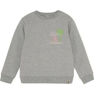 DAILY7 Sweater Textprint Truien & Vesten Jongens - Sweater - Hoodie - Vest- Grijs - Maat 92