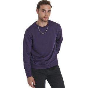 Trendyol Gele Heren Sweatshirt Met Ronde Hals En Lange Mouwen