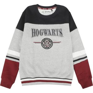 Harry Potter Kids - Hogwarts - England Made Jongens & meisjes Sweatshirt - meerkleurig - 176