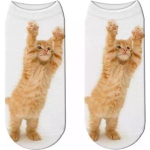 Enkelsokken Kat - kattensokken - fotoprint enkelsokken - Unisex - Maat 36-41