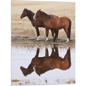 Vlag - Duo Paarden met Weerspiegeling in Water - 60x80 cm Foto op Polyester Vlag