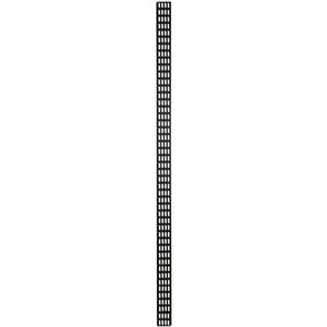DSIT 47U verticale kabelgoot - 10 cm breed