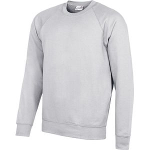 Awdis Academie Herenbemanning Hals Raglan Sweatshirt (Grijs)