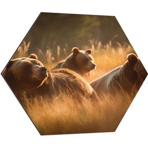 Dibond Hexagon - Bruine beren in bruin gekleurd hoog gras - 70x60.9 cm Foto op Hexagon (Met Ophangsysteem)