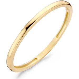 Blush 14 Karaat Gouden Ring (Maat: 54) - Goudkleurig