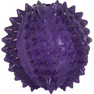 JW Bristl-ee cactus ball - Hondenspeeltje - Puppy speelgoed - Bijtbal - Paars - Ø 6,5 cm