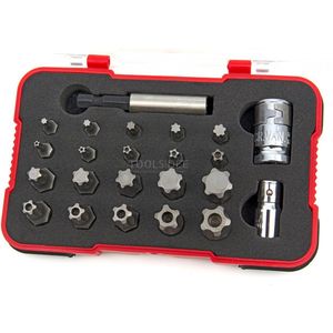 HBM 23 Delige Torx Plus en Torx met Borging Bitset ( Torx Plus Security )