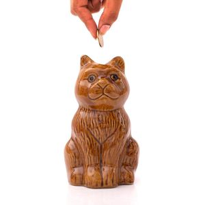 Piggy Bank van Keramiek - Spaarpot voor Kinderen