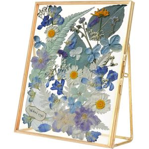 Geometric Brass Glass Frame - Bracket Voor Drukgedroogde Bloemen - Plant Specimen Herbarium DIY Vintage Gallery Wanddecoratie Floating Frame 14x16cm