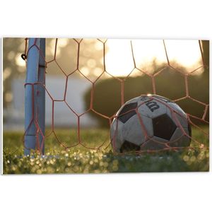 Forex - Voetbal in de Goal - 60x40cm Foto op Forex