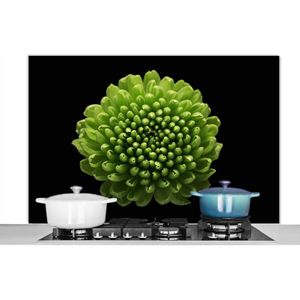 Spatscherm keuken 120x80 cm - Kookplaat achterwand Een groene chrysanthemum bloem op zwarte achtergrond - Muurbeschermer - Spatwand fornuis - Hoogwaardig aluminium