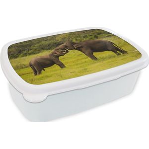 Broodtrommel Wit - Lunchbox - Brooddoos - Twee vechtende olifanten - 18x12x6 cm - Volwassenen