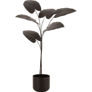 J-Line decoratie Plant - metaal - donkerbruin - small